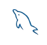 Object-Oriented PHP